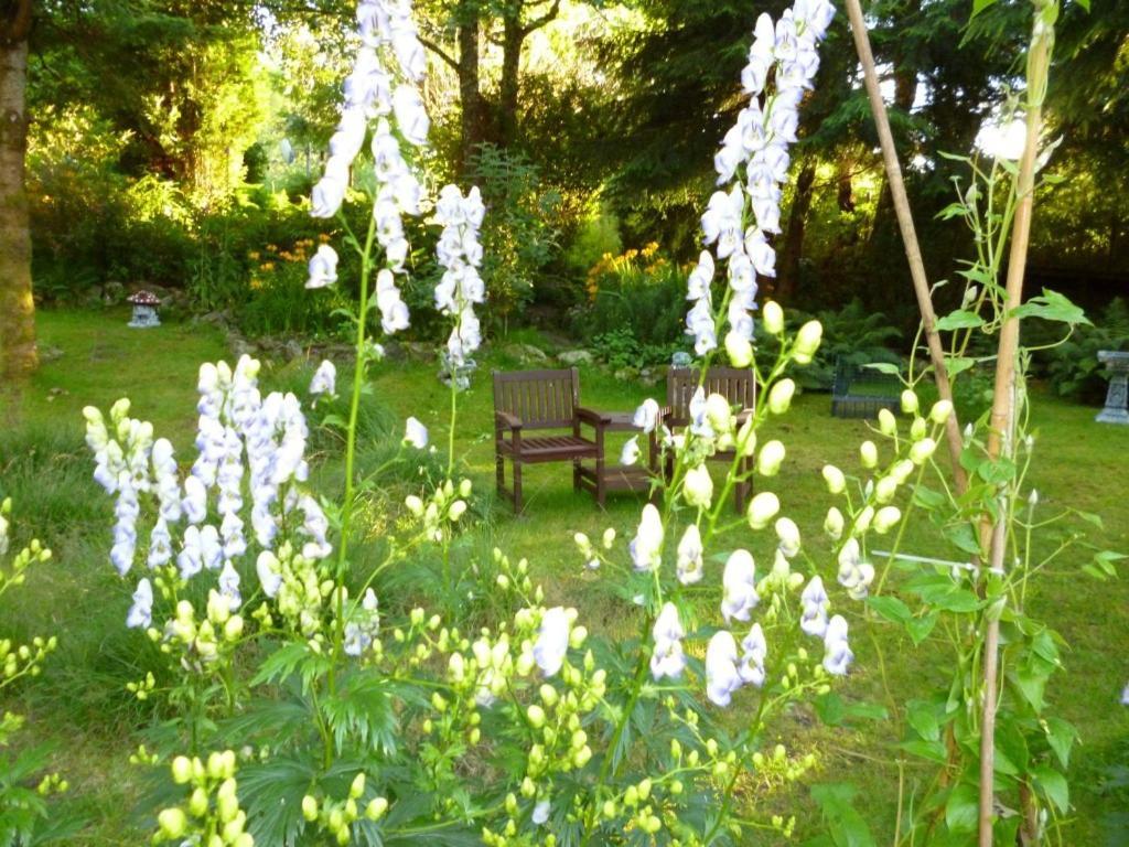 Kettle House